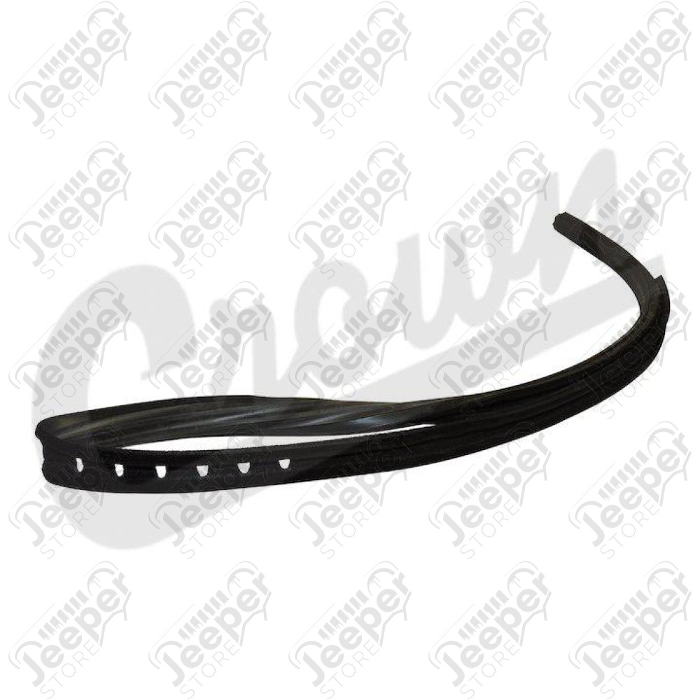 Door Glass Seal