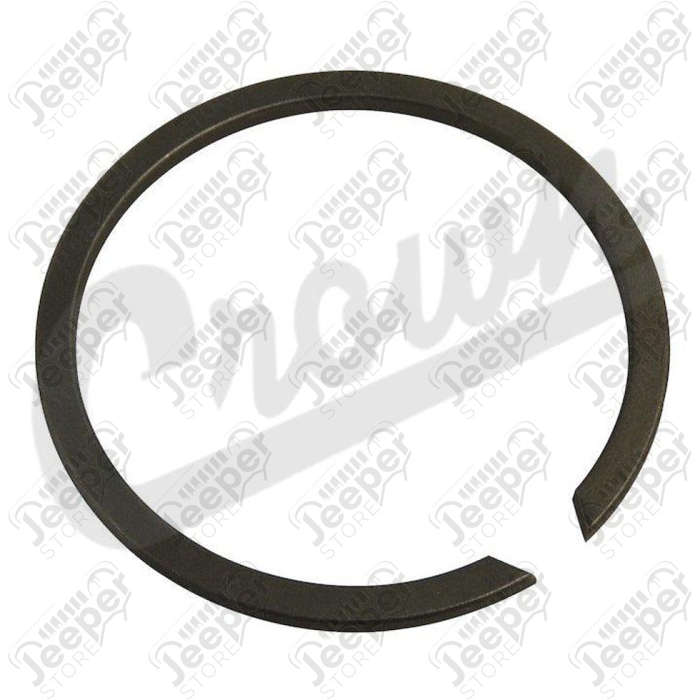 Snap Ring