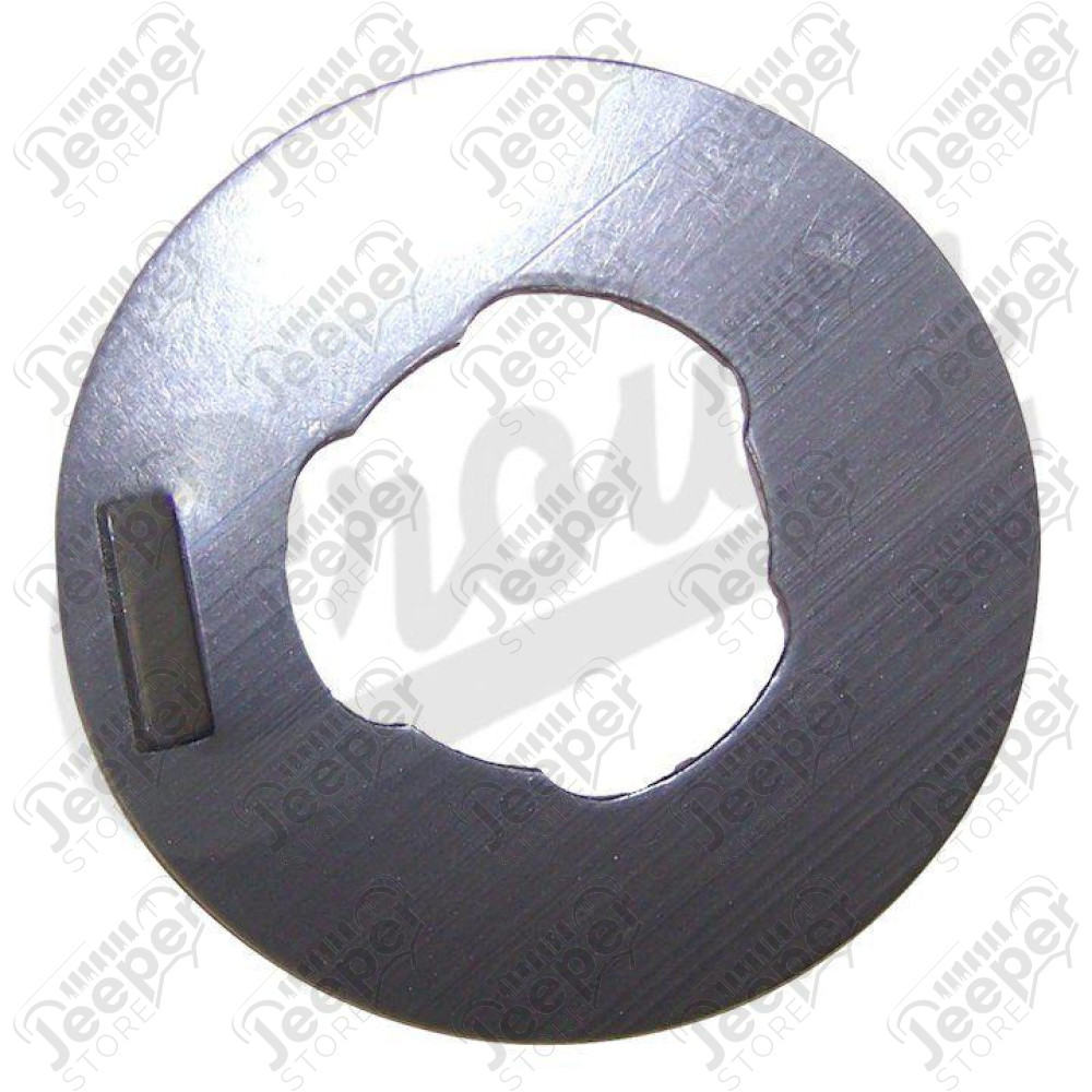 Thrust Washer