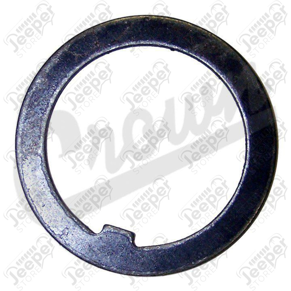 Thrust Washer