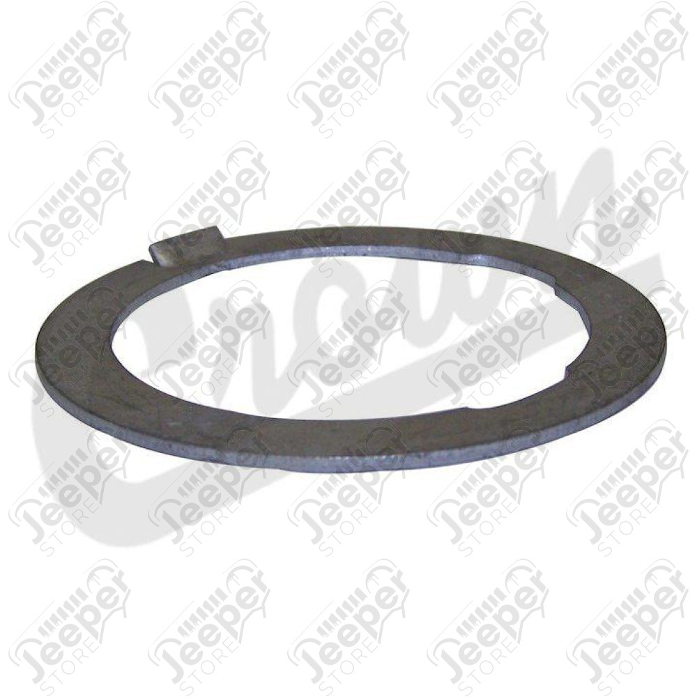 Thrust Washer