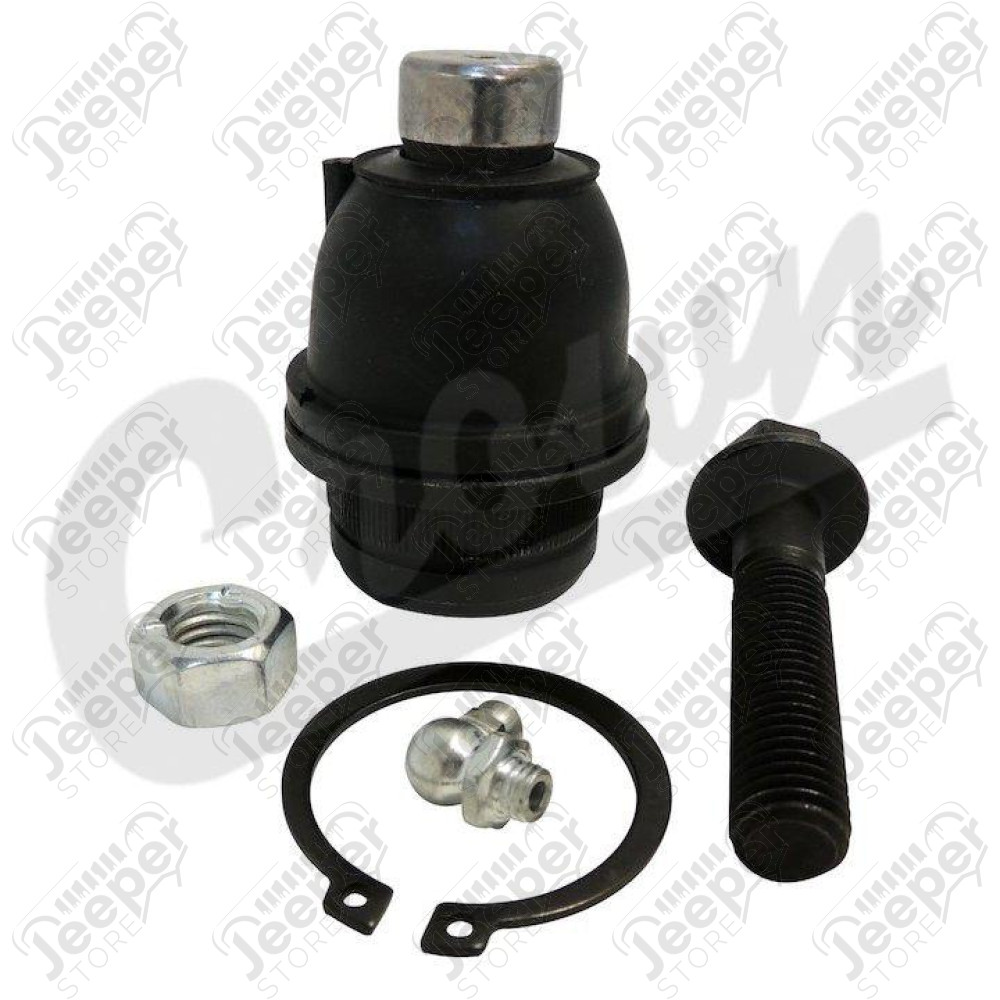 Ball Joint (Lower)