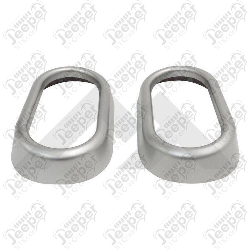 Door Handle Accents (Brushed Silver)