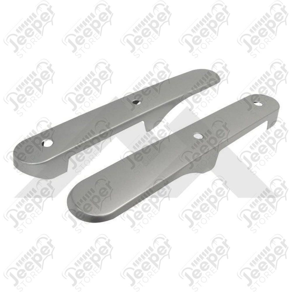 Interior Door Accents (Brushed Silver)