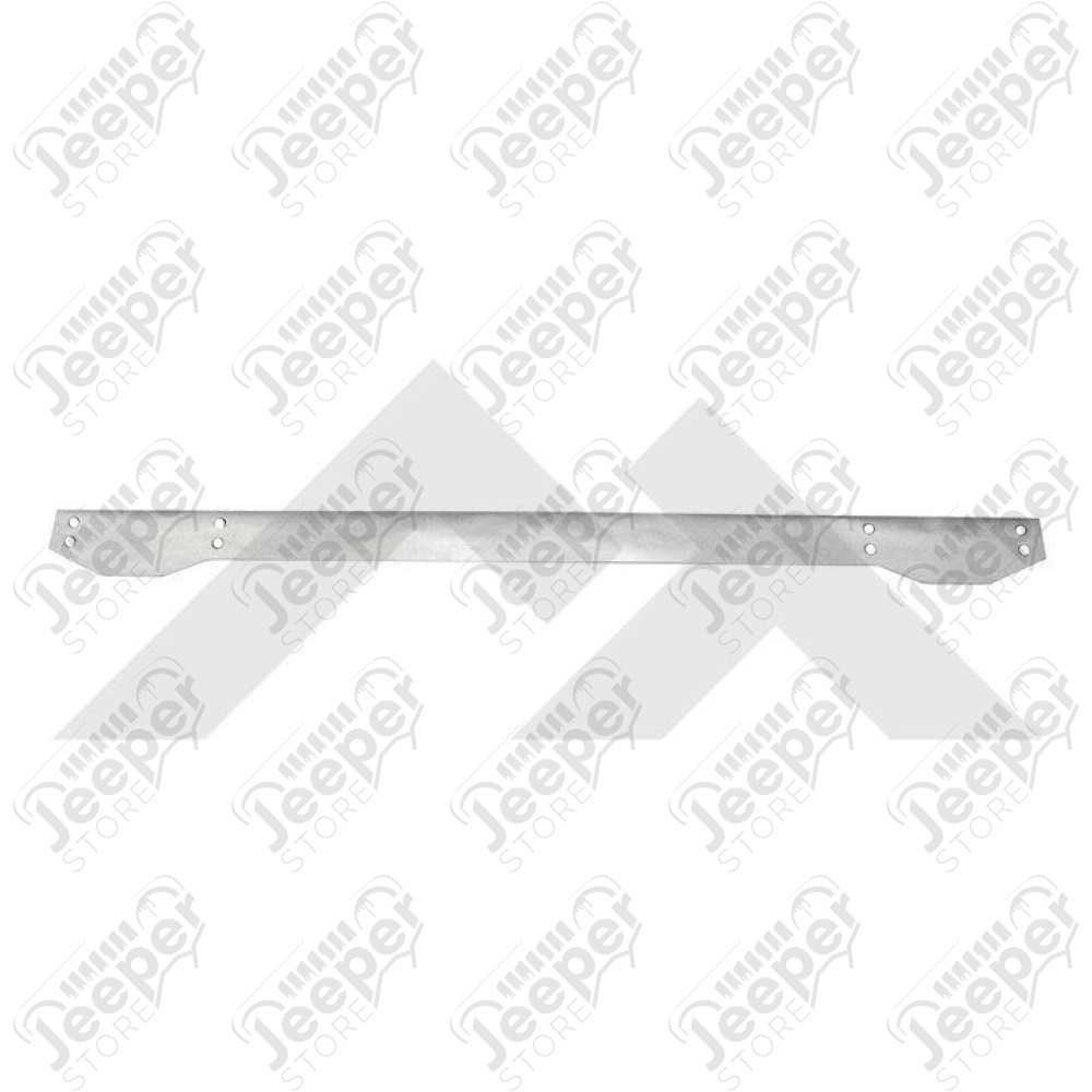 Bumper Overlay (Rear-Stainless)