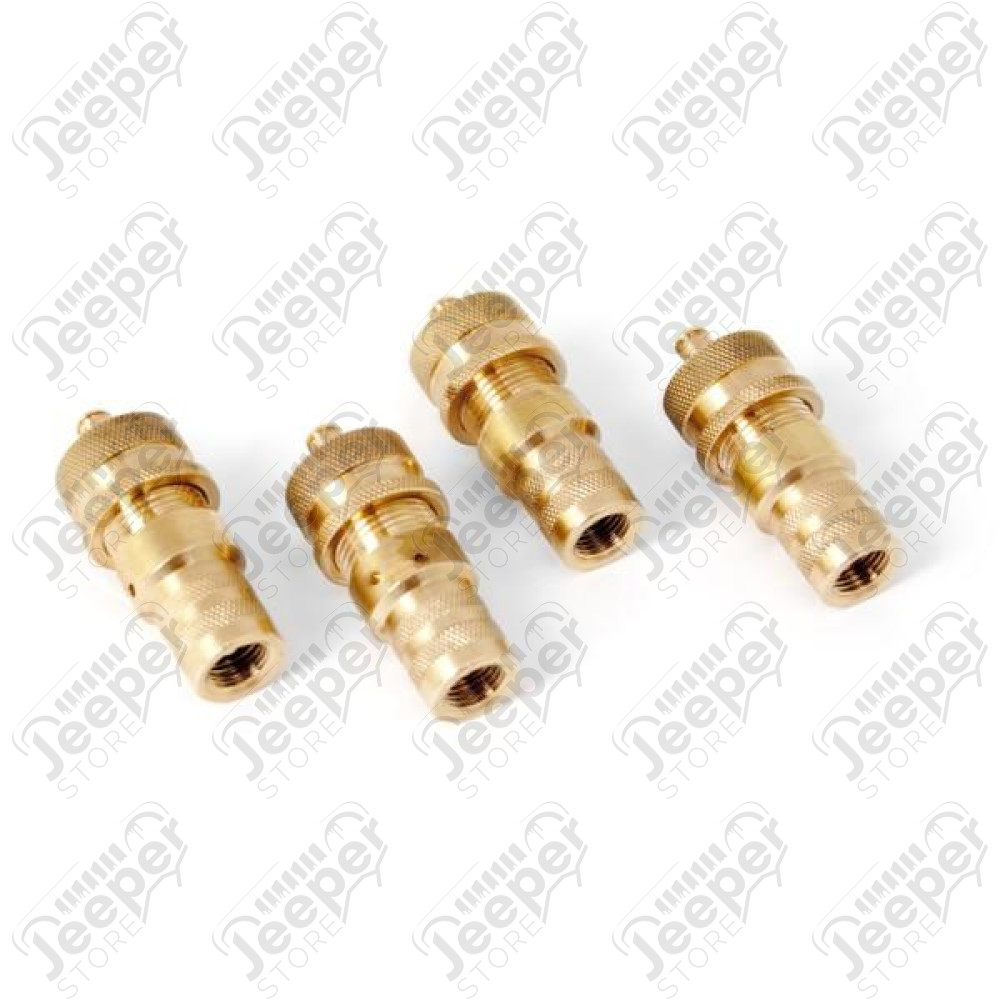 Tire Deflator Kit, Brass