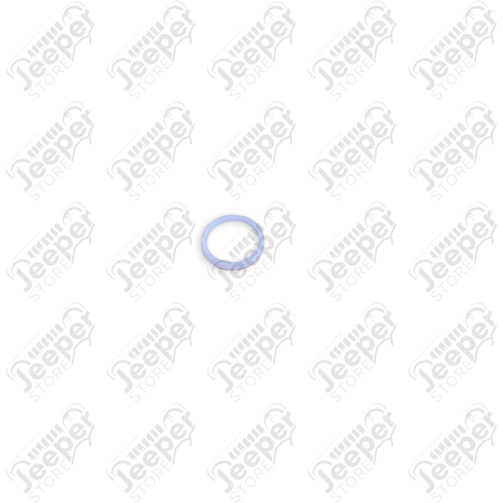 Transfer Case Selector Shaft Seal, NP231; 87-06 Jeep Wrangler TJ