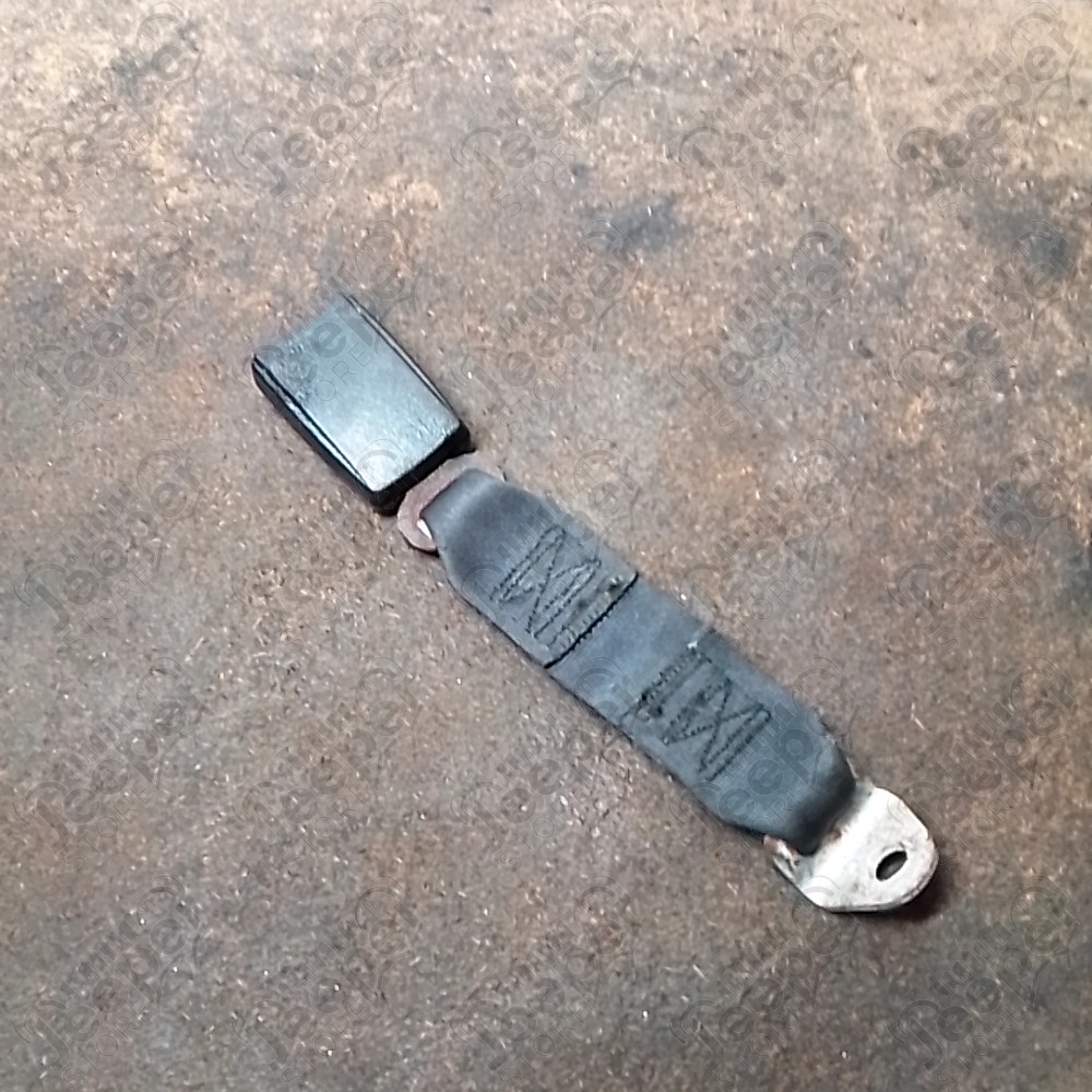 Occasion : Boucle de ceinture pour Jeep divers