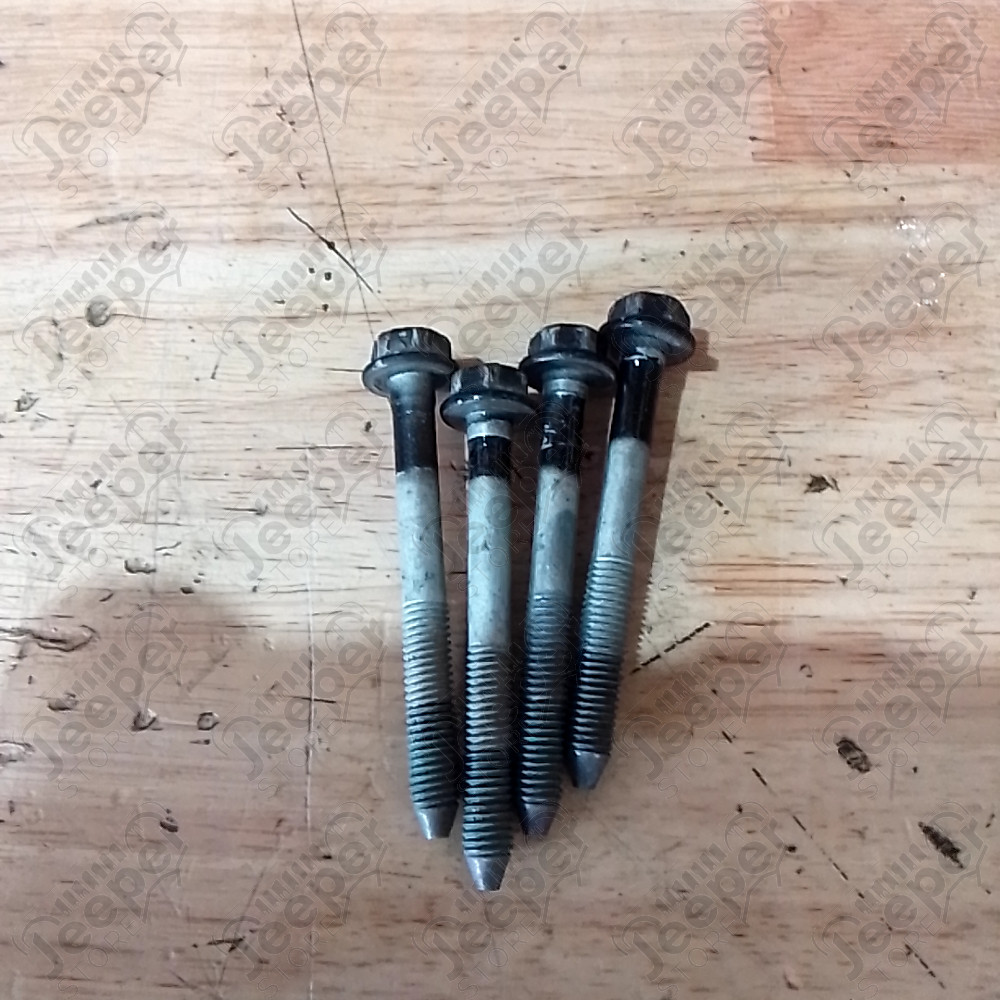 Occasion : Lot de 2 charnières noires de portière arrière droite pour Cadillac Seville STS 4.6L V8 - 32 soupapes - 4 portes - Boite automatique 4 rapports