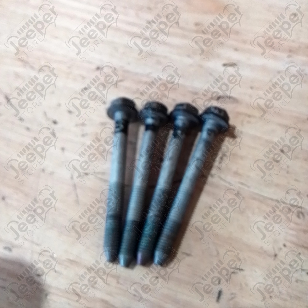 Occasion : Lot de 2 charnières noires de portière arrière gauche pour Cadillac Seville STS 4.6L V8 - 32 soupapes - 4 portes - Boite automatique 4 rapports