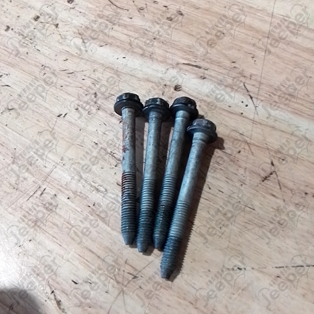 Occasion : Lot de 2 charnières noires de portière avant droite pour Cadillac Seville STS 4.6L V8 - 32 soupapes - 4 portes - Boite automatique 4 rapports