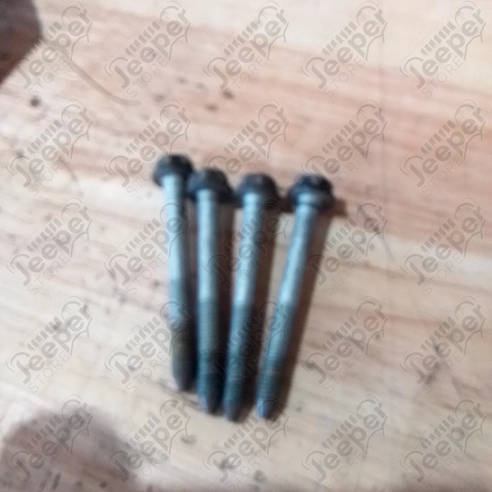 Occasion : Lot de 2 charnières noires de portière avant gauche pour Cadillac Seville STS 4.6L V8 - 32 soupapes - 4 portes - Boite automatique 4 rapports
