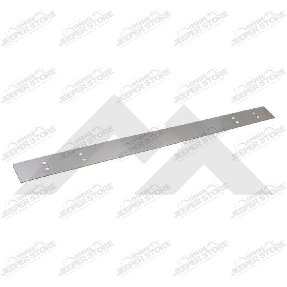 Bumper Overlay (Stainless-Rear)