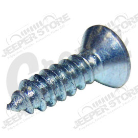 Side Mirror Mounting Screw