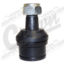 Ball Joint (Lower)
