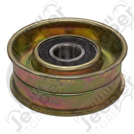 Poulie de renvoie 2.5L TD, Cherokee XJ (moteur VM)