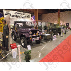 Jeep CJ5 3.8L essence d'occasion