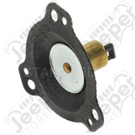 Régulateur de carburant pour carburateur 4.9L , 5.9L V8 (2 BBL) essence moteur AMC Jeep CJ