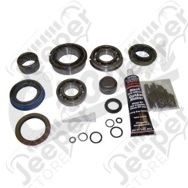 Master Overhaul Kit (NP249)