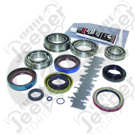 Master Overhaul Kit (NP249)