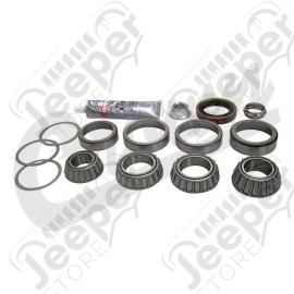 Pinion & Carrier Bearing Kit