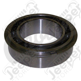 Input Shaft Bearing