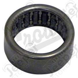 Input Pilot Bearing