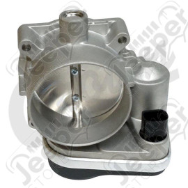 Throttle Body (New)