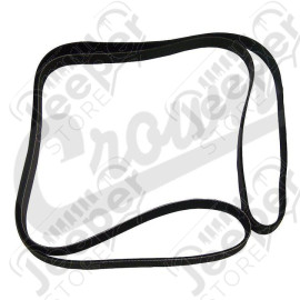 Serpentine Belt