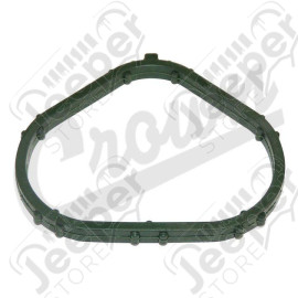 Intake Manifold Gasket
