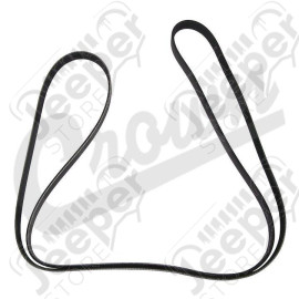 Serpentine Belt