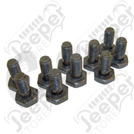 Ring Gear Bolt Kit