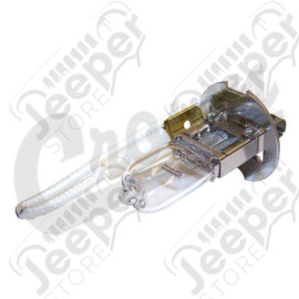 Fog Light Bulb