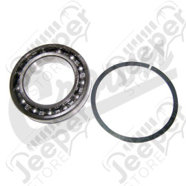 Input Shaft Bearing