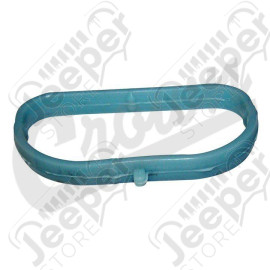 Intake Manifold Seal (Upper Plenum)
