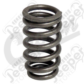 Valve Spring