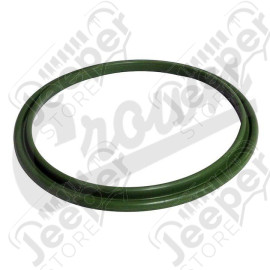 Fuel Pressure Regulator Seal