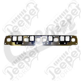 Manifold Gasket