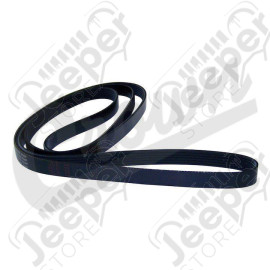 Serpentine Belt
