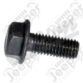 Caliper Mounting Bolt