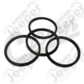 Brake Caliper Seal Kit (Front)