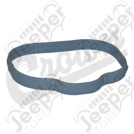 Intake Manifold Gasket (Lower)