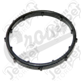 Thermostat Seal