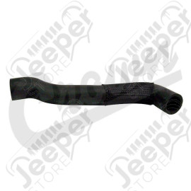 Radiator Hose (Lower-Outlet)
