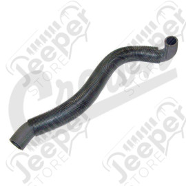 Radiator Hose (Lower-Outlet)