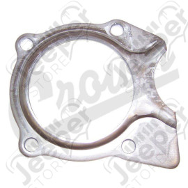 Bearing Retainer (Rear)