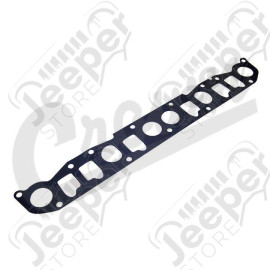 Manifold Gasket