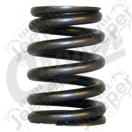 Valve Spring