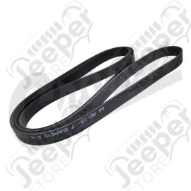Serpentine Belt