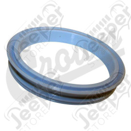 Throttle Body Seal (To Resonator)